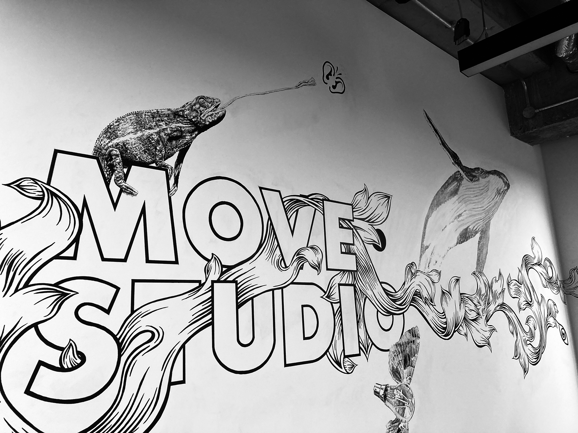 Move Studio