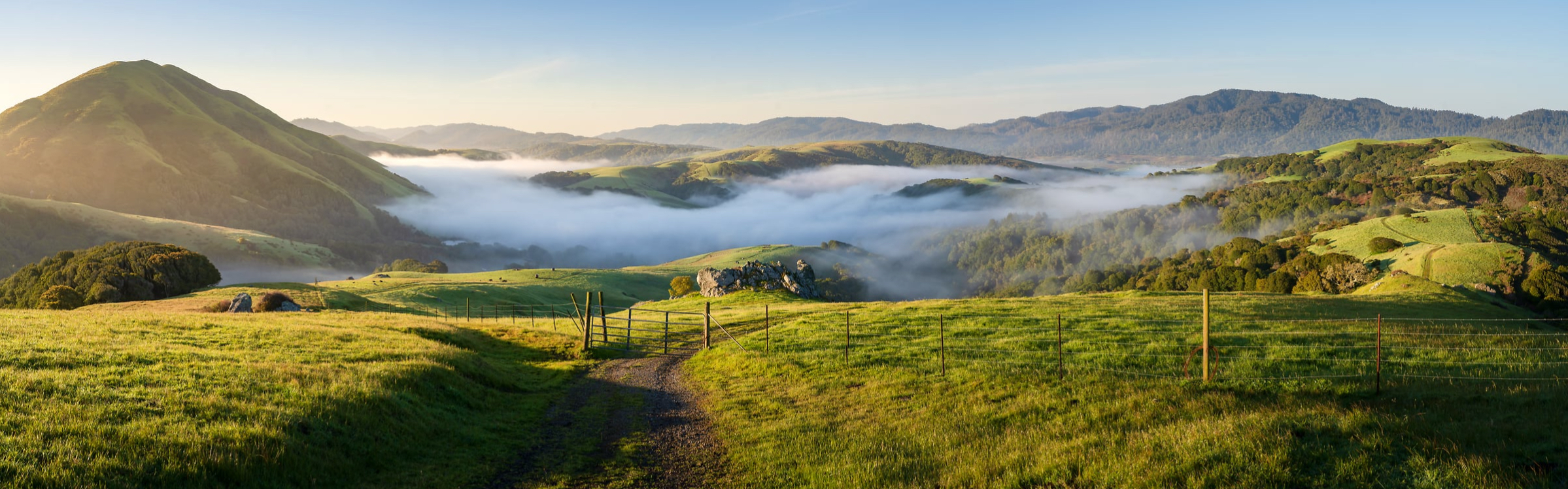 Morning mist over rolling green hills, Vast Photos